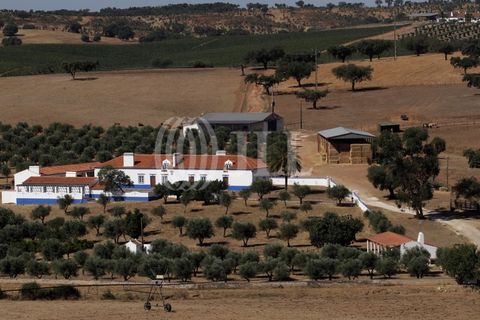 Landejendom i Redondo, Evora, Redondo - € 2.985.500 | Ref: 79765 - foto 2