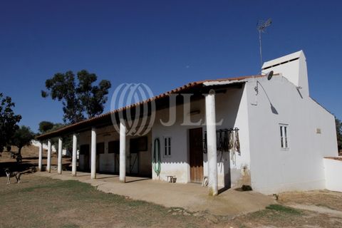Landejendom i Redondo, Evora, Redondo - € 2.985.500 | Ref: 79765 - foto 9