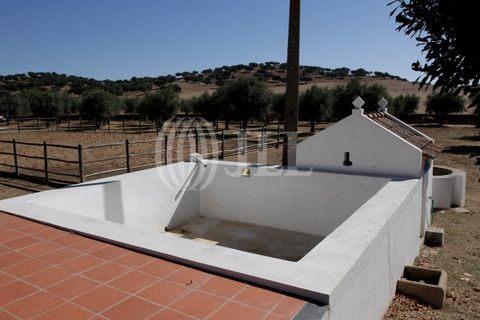 Landejendom i Redondo, Evora, Redondo - € 2.985.500 | Ref: 79765 - foto 10