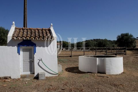 Landejendom i Redondo, Evora, Redondo - € 2.985.500 | Ref: 79765 - foto 11