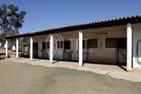 Landejendom i Redondo, Evora, Redondo - € 2.985.500 | Ref: 79765 - foto 13