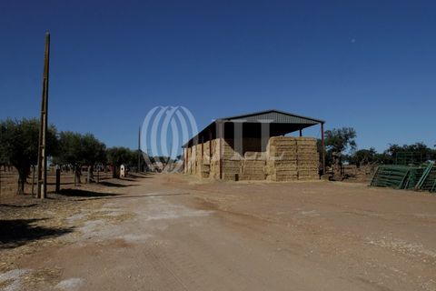 Landejendom i Redondo, Evora, Redondo - € 2.985.500 | Ref: 79765 - foto 14