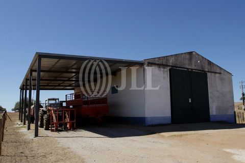 Landejendom i Redondo, Evora, Redondo - € 2.985.500 | Ref: 79765 - foto 15