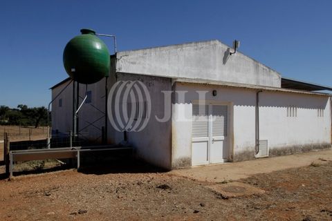 Landejendom i Redondo, Evora, Redondo - € 2.985.500 | Ref: 79765 - foto 16