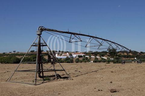 Landejendom i Redondo, Evora, Redondo - € 2.985.500 | Ref: 79765 - foto 17