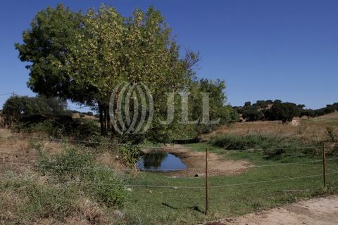 Landejendom i Redondo, Evora, Redondo - € 2.985.500 | Ref: 79765 - foto 19