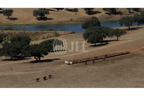 Landejendom i Redondo, Evora, Redondo - € 2.985.500 | Ref: 79765 - foto 20