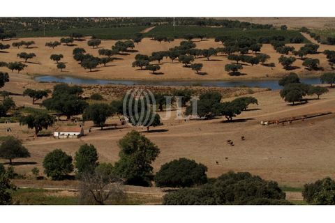 Landejendom i Redondo, Evora, Redondo - € 2.985.500 | Ref: 79765 - foto 21