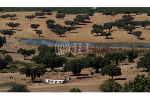 Landejendom i Redondo, Evora, Redondo - € 2.985.500 | Ref: 79765 - foto 24
