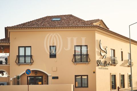 Erhvervsejendom i Ferrel, Leiria, Ferrel - € 2.680.000 | Ref: 78187 - foto 31