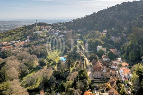 Farm i Sintra, Lisbon, Sintra - € 16.500.000 | Ref: 77659 - foto 2