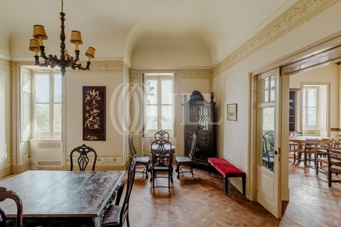 Farm i Sintra, Lisbon, Sintra - € 16.500.000 | Ref: 77659 - foto 12