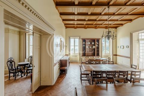 Farm i Sintra, Lisbon, Sintra - € 16.500.000 | Ref: 77659 - foto 14
