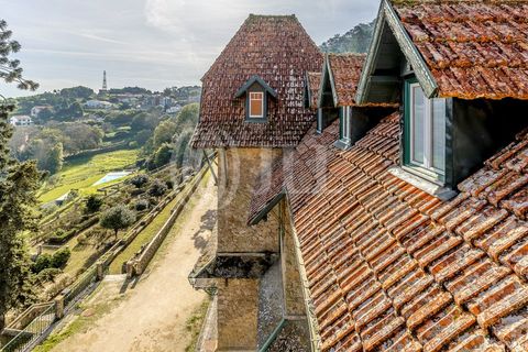 Farm i Sintra, Lisbon, Sintra - € 16.500.000 | Ref: 77659 - foto 43