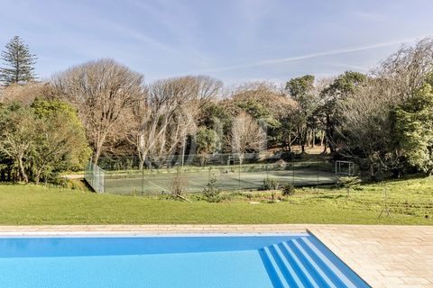 Farm i Sintra, Lisbon, Sintra - € 16.500.000 | Ref: 77659 - foto 48