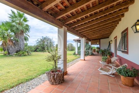 Villa i Vila Nova de Sao Bento e Vale de Vargo, Beja, Vila Nova de Sao Bento e Vale de Vargo - € 1.495.000 | Ref: 76992 - foto 26