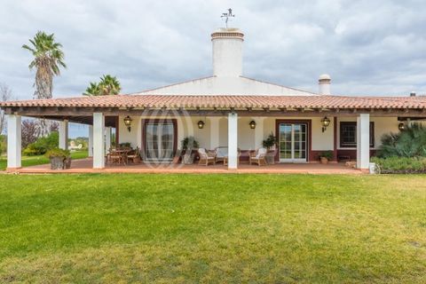 Villa i Vila Nova de Sao Bento e Vale de Vargo, Beja, Vila Nova de Sao Bento e Vale de Vargo - € 1.495.000 | Ref: 76992 - foto 31
