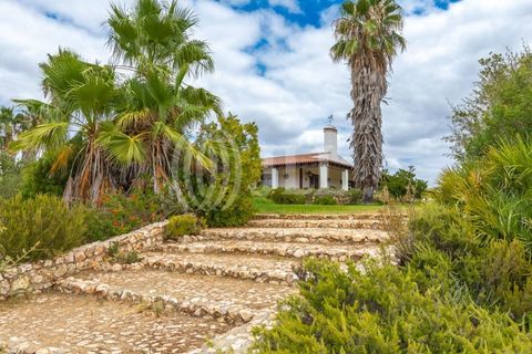 Villa i Vila Nova de Sao Bento e Vale de Vargo, Beja, Vila Nova de Sao Bento e Vale de Vargo - € 1.495.000 | Ref: 76992 - foto 33