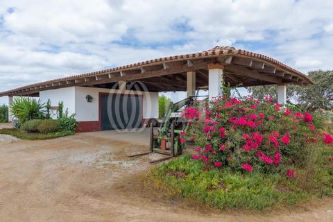 Villa i Vila Nova de Sao Bento e Vale de Vargo, Beja, Vila Nova de Sao Bento e Vale de Vargo - € 1.495.000 | Ref: 76992 - foto 34
