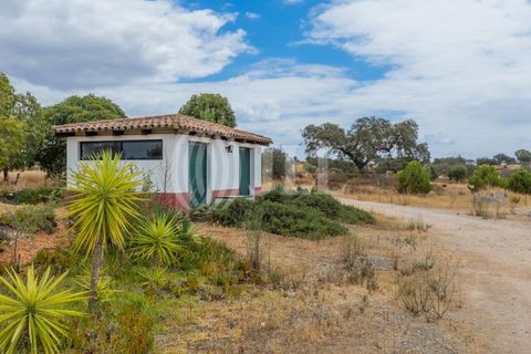 Villa i Vila Nova de Sao Bento e Vale de Vargo, Beja, Vila Nova de Sao Bento e Vale de Vargo - € 1.495.000 | Ref: 76992 - foto 35