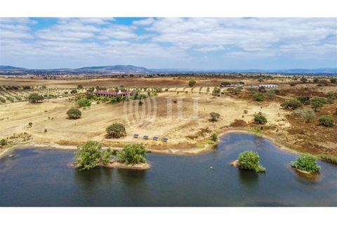 Villa i Vila Nova de Sao Bento e Vale de Vargo, Beja, Vila Nova de Sao Bento e Vale de Vargo - € 1.495.000 | Ref: 76992 - foto 36