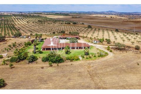 Villa i Vila Nova de Sao Bento e Vale de Vargo, Beja, Vila Nova de Sao Bento e Vale de Vargo - € 1.495.000 | Ref: 76992 - foto 37