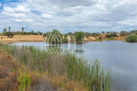 Villa i Vila Nova de Sao Bento e Vale de Vargo, Beja, Vila Nova de Sao Bento e Vale de Vargo - € 1.495.000 | Ref: 76992 - foto 40