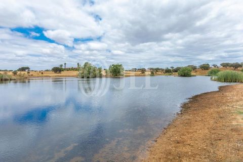Villa i Vila Nova de Sao Bento e Vale de Vargo, Beja, Vila Nova de Sao Bento e Vale de Vargo - € 1.495.000 | Ref: 76992 - foto 41