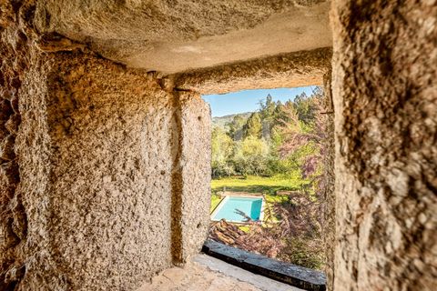 Farm i Ferro, Castelo Branco, Ferro - € 2.100.000 | Ref: 76579 - foto 15