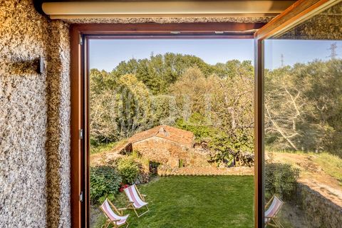 Farm i Ferro, Castelo Branco, Ferro - € 2.100.000 | Ref: 76579 - foto 20