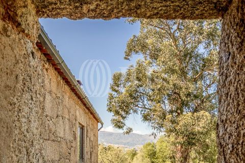 Farm i Ferro, Castelo Branco, Ferro - € 2.100.000 | Ref: 76579 - foto 21