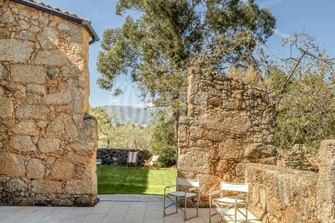 Farm i Ferro, Castelo Branco, Ferro - € 2.100.000 | Ref: 76579 - foto 25