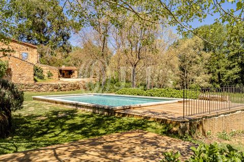 Farm i Ferro, Castelo Branco, Ferro - € 2.100.000 | Ref: 76579 - foto 28