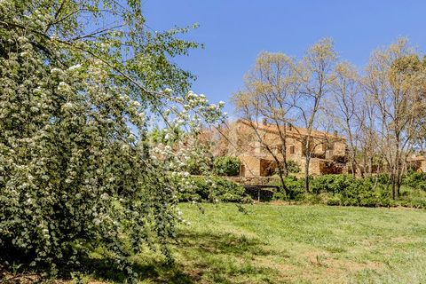 Farm i Ferro, Castelo Branco, Ferro - € 2.100.000 | Ref: 76579 - foto 29