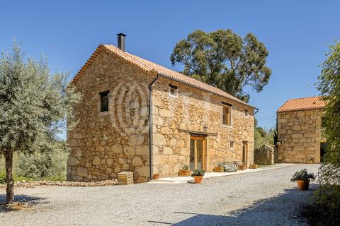 Farm i Ferro, Castelo Branco, Ferro - € 2.100.000 | Ref: 76579 - foto 31