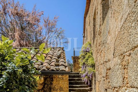 Farm i Ferro, Castelo Branco, Ferro - € 2.100.000 | Ref: 76579 - foto 45
