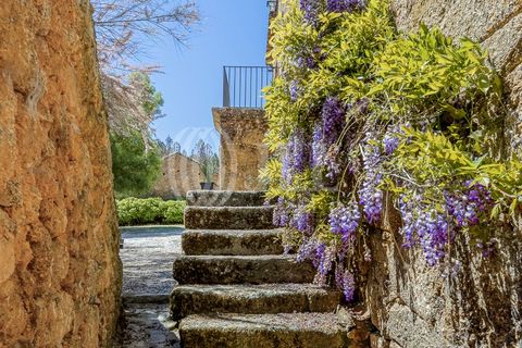 Farm i Ferro, Castelo Branco, Ferro - € 2.100.000 | Ref: 76579 - foto 46