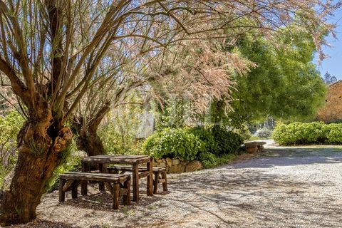 Farm i Ferro, Castelo Branco, Ferro - € 2.100.000 | Ref: 76579 - foto 47