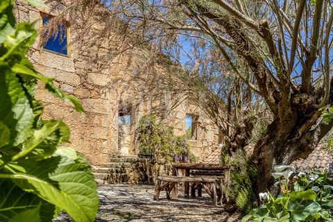 Farm i Ferro, Castelo Branco, Ferro - € 2.100.000 | Ref: 76579 - foto 48