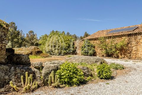 Farm i Ferro, Castelo Branco, Ferro - € 2.100.000 | Ref: 76579 - foto 49