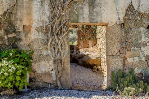 Farm i Ferro, Castelo Branco, Ferro - € 2.100.000 | Ref: 76579 - foto 50