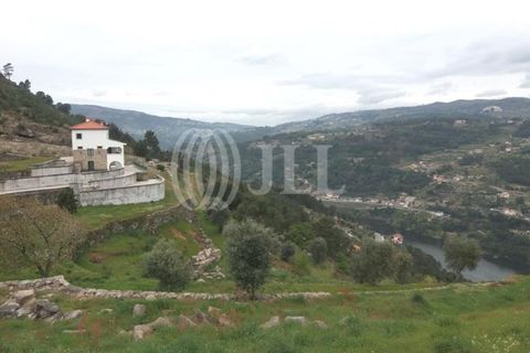 Farm i Souselo, Viseu, Souselo - € 850.000 | Ref: 71300 - foto 2