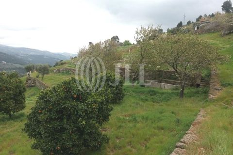 Farm i Souselo, Viseu, Souselo - € 850.000 | Ref: 71300 - foto 7
