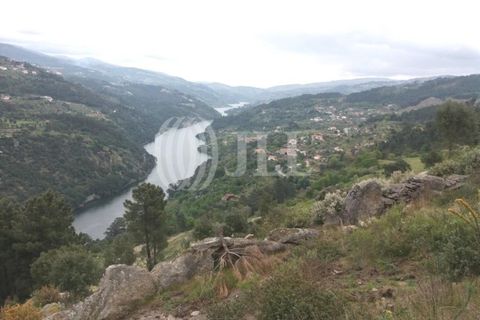 Farm i Souselo, Viseu, Souselo - € 850.000 | Ref: 71300 - foto 8