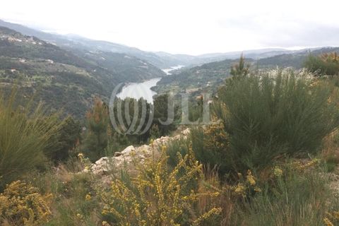 Farm i Souselo, Viseu, Souselo - € 850.000 | Ref: 71300 - foto 9