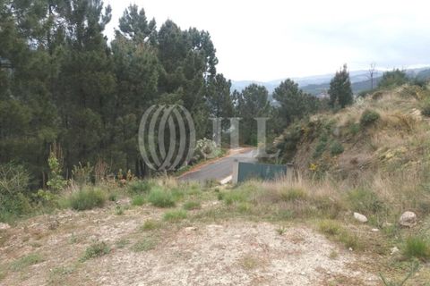 Farm i Souselo, Viseu, Souselo - € 850.000 | Ref: 71300 - foto 10