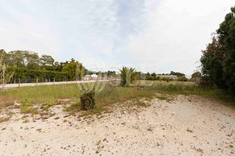 Grond in Comporta, Setubal, Comporta - € 3.200.000 | Ref: 71070 - foto 3