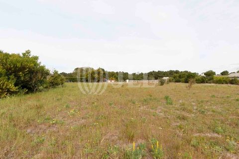 Grond in Comporta, Setubal, Comporta - € 3.200.000 | Ref: 71070 - foto 4