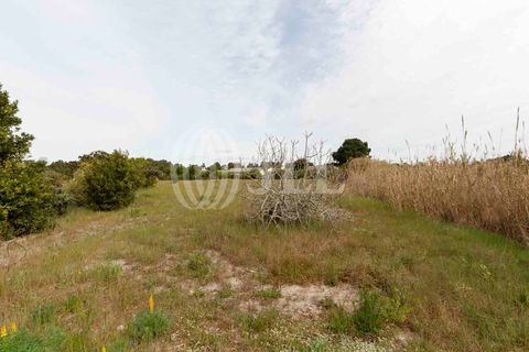 Grond in Comporta, Setubal, Comporta - € 3.200.000 | Ref: 71070 - foto 10
