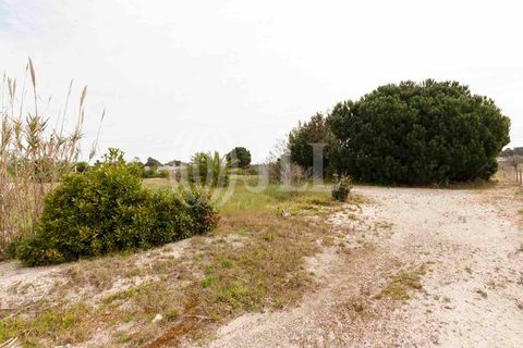Grond in Comporta, Setubal, Comporta - € 3.200.000 | Ref: 71070 - foto 12